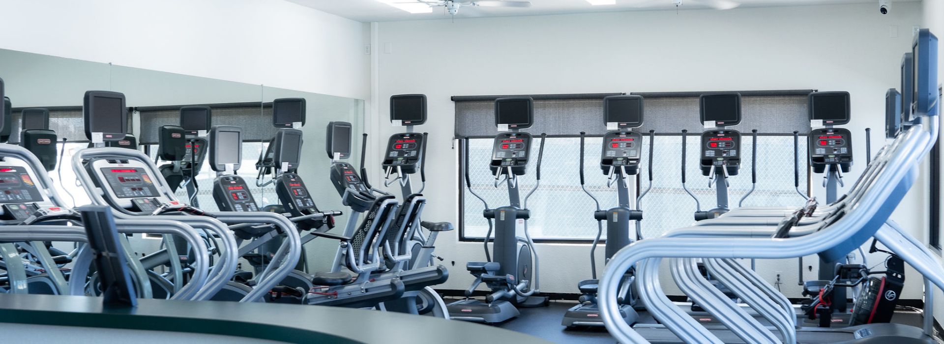 Ellipticals
